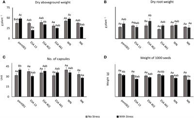 Molecular and biochemical responses of sesame (Sesame indicum L.) to rhizobacteria inoculation under water deficit